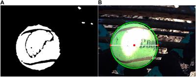 Towards a Machine Vision-Based Yield Monitor for the Counting and Quality Mapping of Shallots